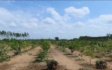 Plot For Sale in Domalguda