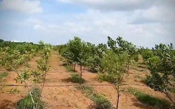 Plot For Sale in Rajendra Nagar