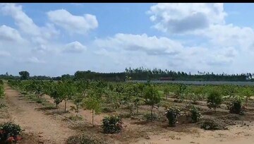  Plot For Sale in Moinabad