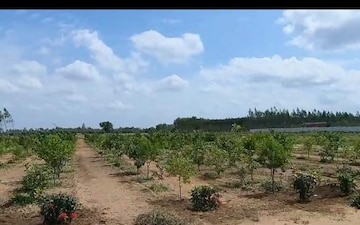 Plot For Sale in Santosh Nagar