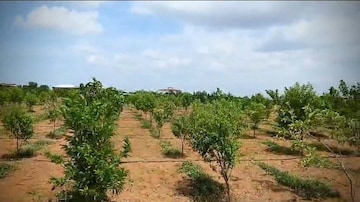  Plot For Sale in Bn Reddy Nagar