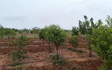 Plot For Sale in Falaknuma
