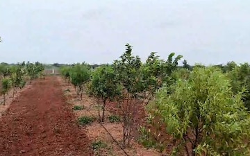 Plot For Sale in Charminar