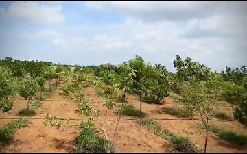Plot For Sale in Malakpet Extension