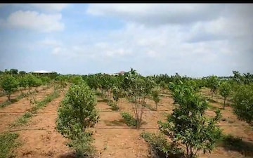 Plot For Sale in Chanakyapuri