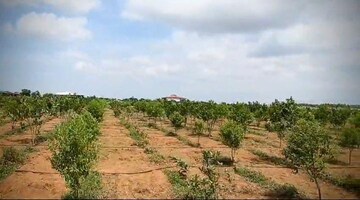  Plot For Sale in Dilsukh Nagar