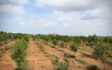 Plot For Sale in Dilsukh Nagar