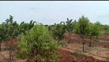  Plot For Sale in Mokila