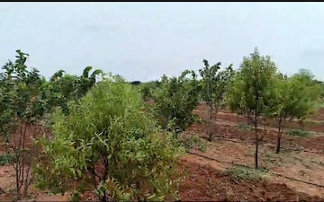 Plot For Sale in Mokila