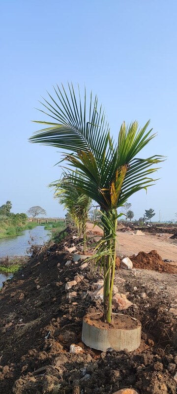  Plot – Garden View at Sri Bhumi Eeshaanya, Kankipadu - for Sale