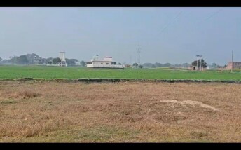 Plot For Resale in Babatpur Varanasi  7309612