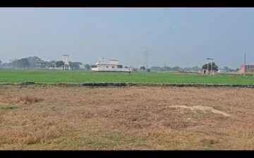  Plot For Sale in Babatpur