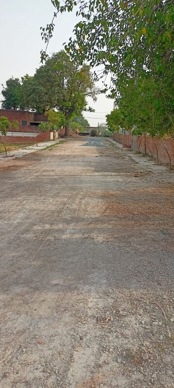 Plot Area in  Plot at Babatpur – for Sale