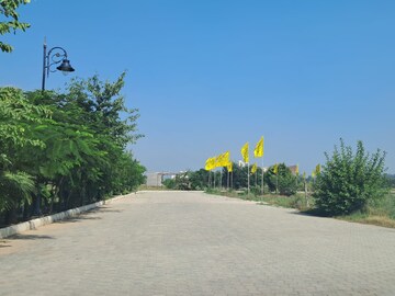 Plot Area in  Plot at Nagla Road – for Sale