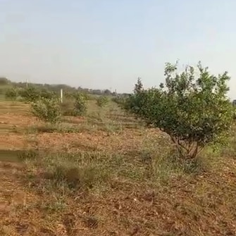 Commercial Land 10 Acre For Resale in Narketpally Nalgonda  7309754