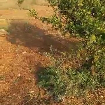  Land – Exterior View View at Narketpally - for Sale
