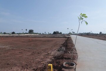 Plot Area in  Plot at Tiruchirappalli – for Sale