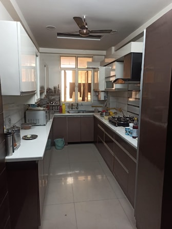 3 BHK Apartment For Resale in Amrapali Green Vaibhav Khand Ghaziabad  7310699