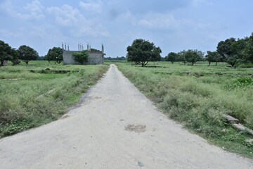 Plot Area in  Plot at Star City, Alambagh – for Sale