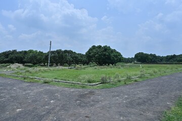 Plot Area in  Plot at Star City, Alambagh – for Sale