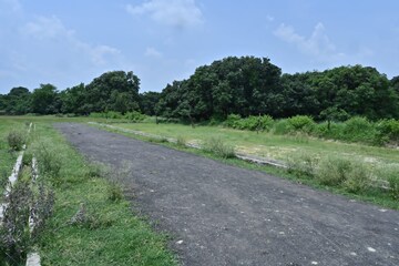 Plot Area in  Plot at Star City, Alambagh – for Sale