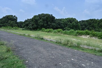 Plot Area in  Plot at Star City, Alambagh – for Sale