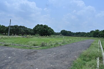 Plot Area in  Plot at Star City, Alambagh – for Sale