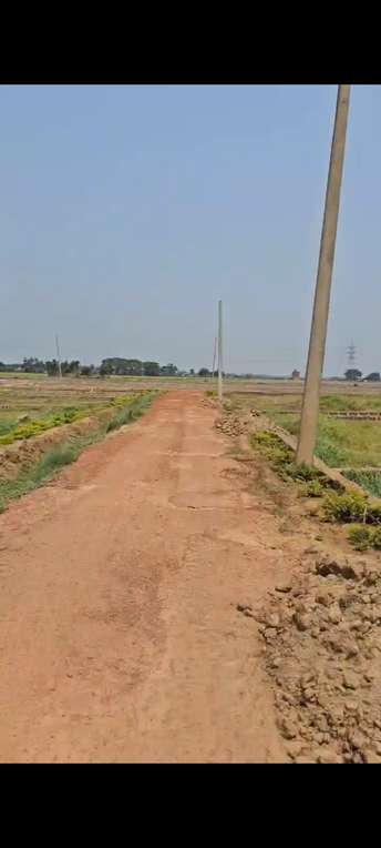 Plot For Resale in Phulnakhara Cuttack  7311145