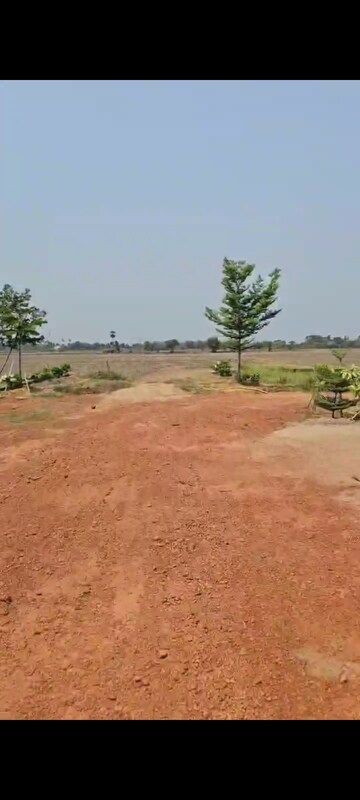 Plot Area in  Plot at Phulnakhara – for Sale
