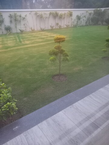 2.5 BHK Apartment – Garden View at Signature Global Synera, Sector 81 - for Sale