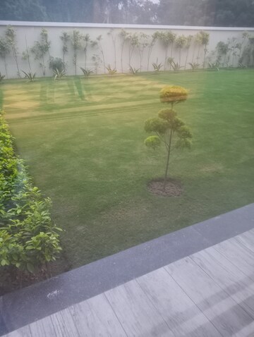 2.5 BHK Apartment – Garden View at Signature Global Synera, Sector 81 - for Sale