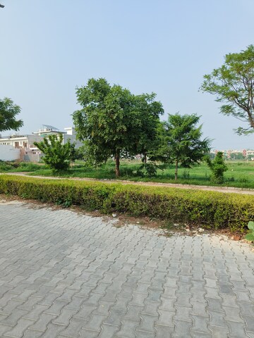 Plot Area in  Plot at Sector 117 – for Sale