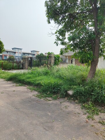 Plot Area in  Plot at Sector 118 – for Sale