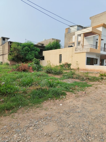 Plot For Resale in Sector 118 Mohali  7311884