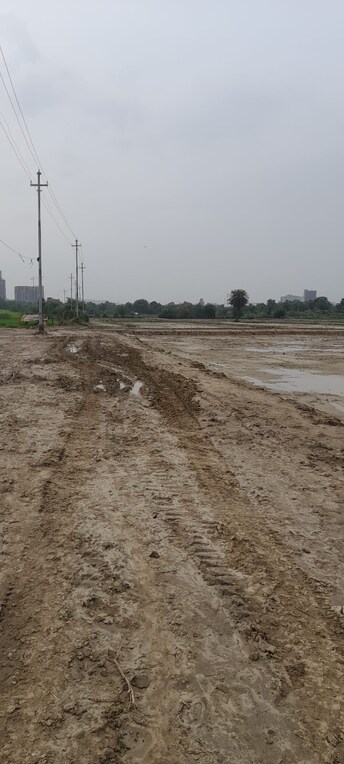 Plot For Resale in Super Corridor Indore  7311892