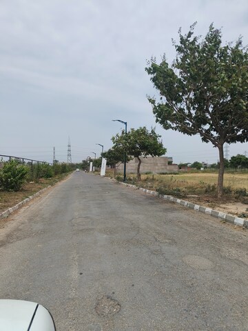 Plot For Sale in Sector 115