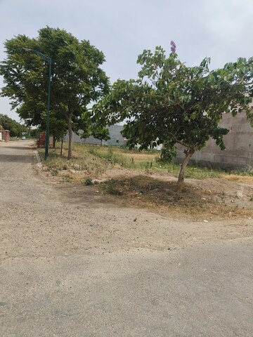 Plot Area in  Plot at Sector 115 – for Sale