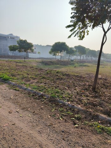 Plot Area in  Plot at Sector 105 – for Sale