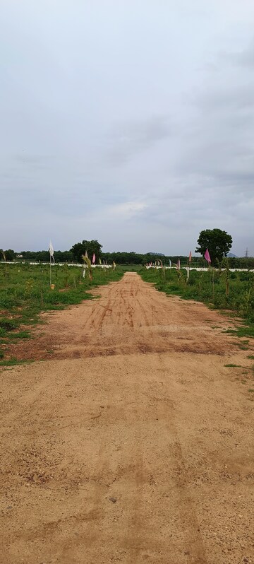 Plot For Resale in Jayaprakash Nagar Vijayawada  7312282