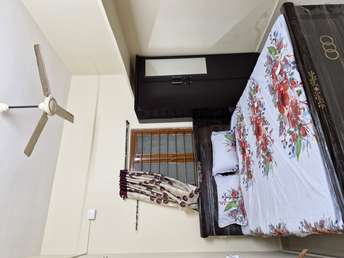 1 BHK Apartment For Rent in Madhapur Hyderabad  7312331