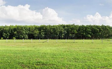  Plot For Sale in Ajeetgarh