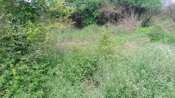  Plot For Sale in GSR Kalp City, Omaxe City