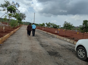 Plot Area in  Plot at Budhera – for Sale