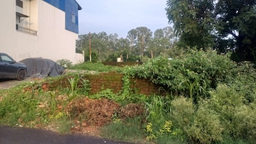 Plot For Resale in Anarwala Dehradun  7312746