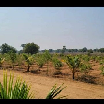 Plot Area in  Plot at Kolanupaka – for Sale