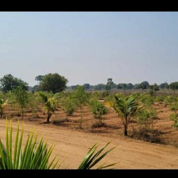 Plot Area in  Plot at Kolanupaka – for Sale