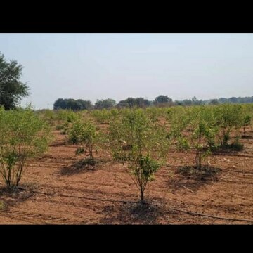 Plot Area in  Plot at Kolanupaka – for Sale