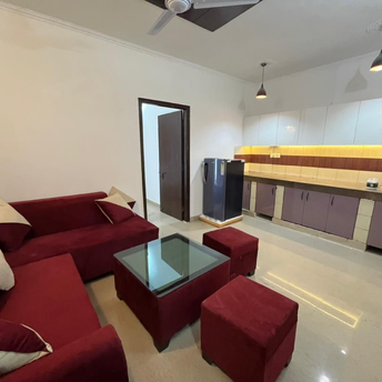 1 BHK Builder Floor For Rent in Saket Delhi  7313193