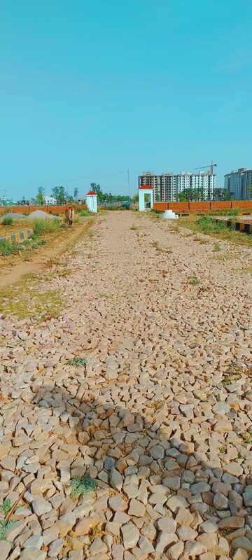Plot Area in  Plot at Kamta – for Sale