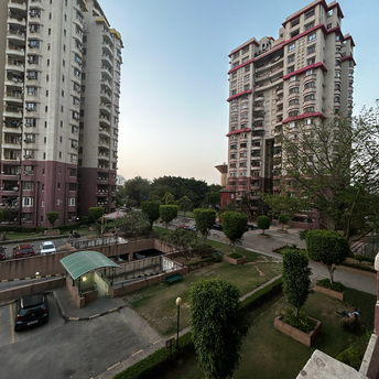 3.5 BHK Apartment For Resale in Unitech Palms South City 1 Gurgaon  7313579